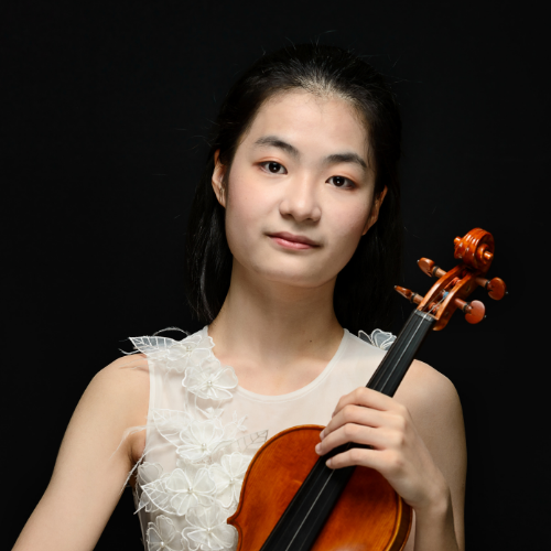 Laura Vita - Jewel brosch Violin